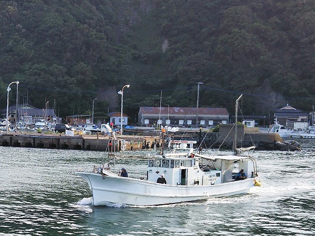 夜焚きイカ釣りプラン(平日)