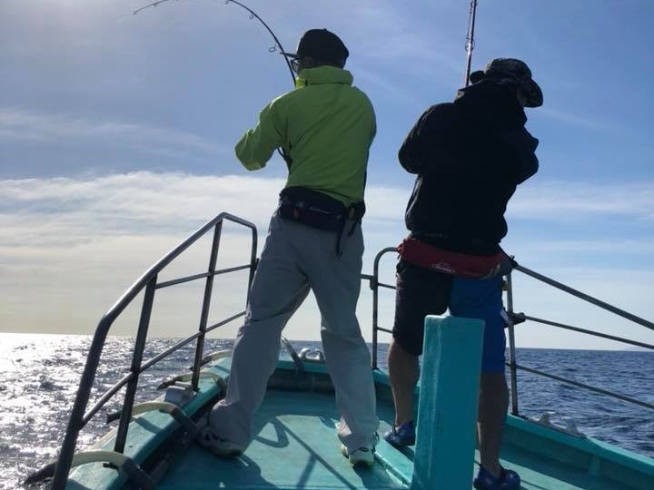 ���륢������������������ץ��