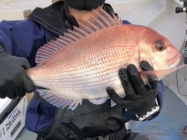 【1月〜】《日曜・祝日》〜ターゲットを自由に選択出来る!〜貸切釣りプラン【午後便】