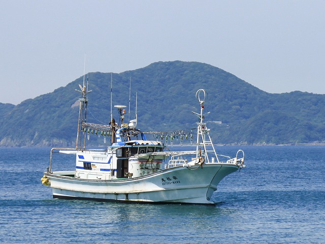 ★夜焚きイカ&タイ★釣りプラン(8/11から15,000〜16,000円)