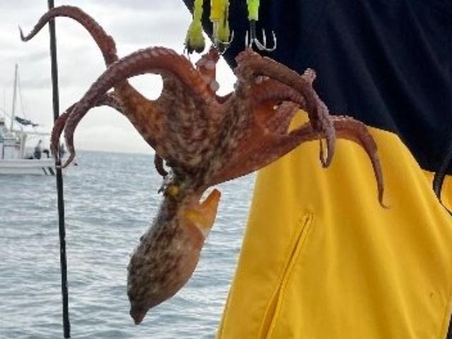 ���������ޥ������ץ�����󥿥뤢�ꡪ�����ڤˤ���������������