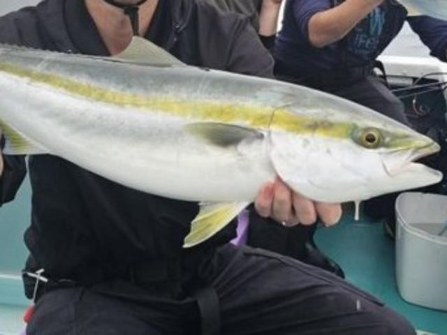 一日便・のませ&タチウオ釣りプラン