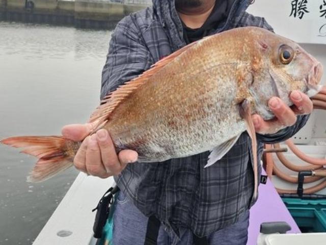 �����ء���ĥƥ�����ץ����ޥ���������