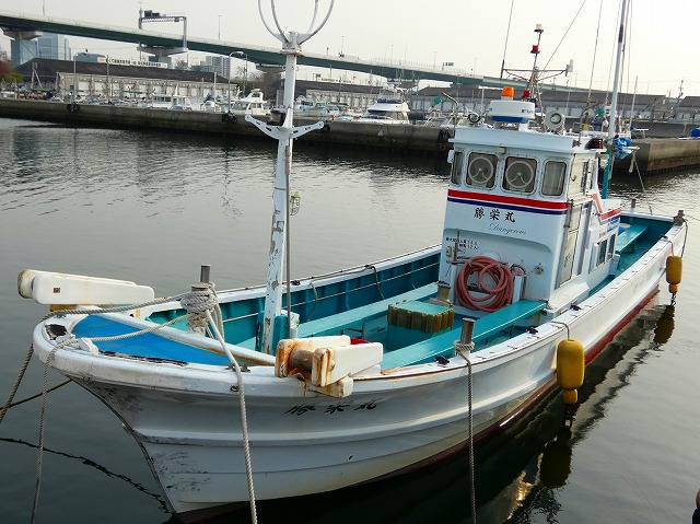 午後便・近場のマダコ釣りプラン