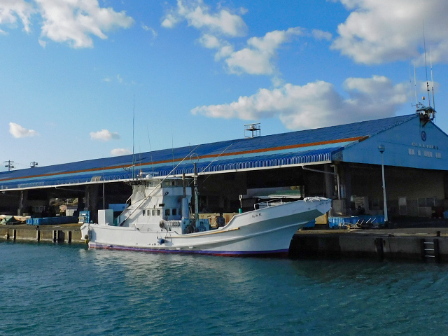 �᳤�����󥰡ʸ��ܡ�������С˥ץ��