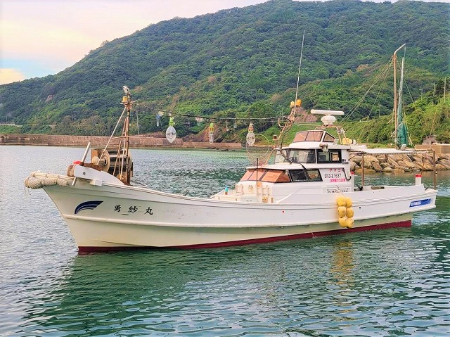 ☆日〜木☆シロイカ(ケンサキイカ)釣りプラン