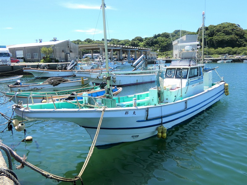 ヒラメ釣りプラン