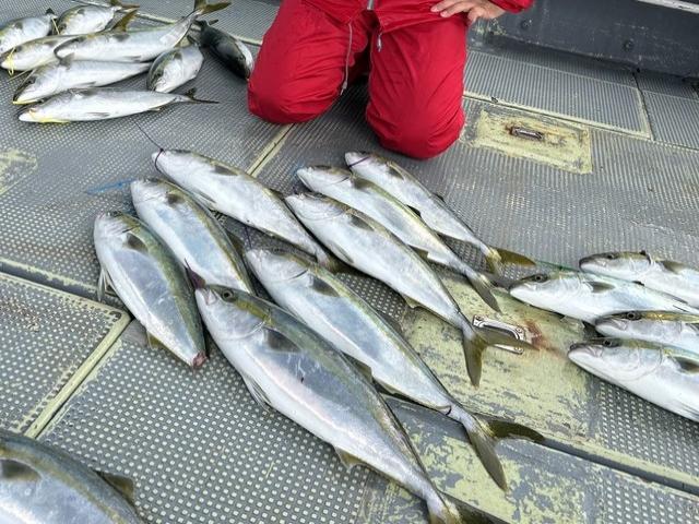 ◆午前◆飲ませ釣りプラン☆初心者の方も大歓迎♪☆