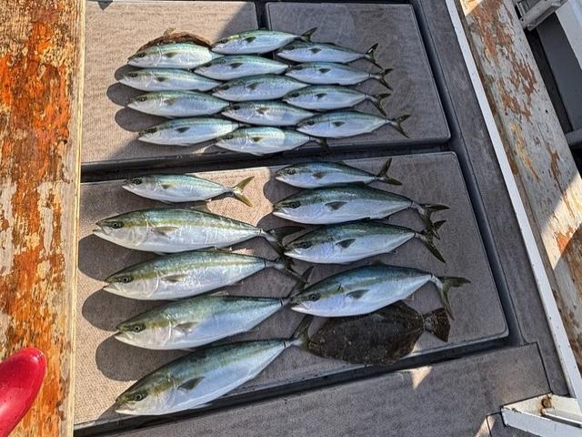 〈1月〜〉【土日祝】《午前便》ジギング釣りプラン