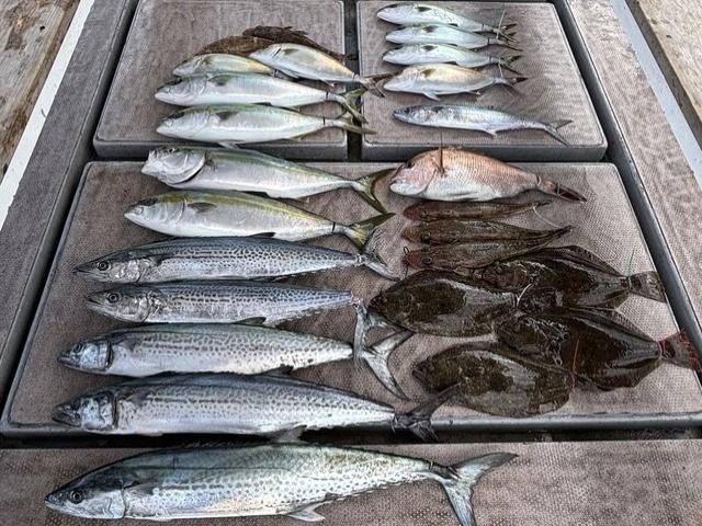 〈1月〜〉【土日祝】《午前便》ノマセ釣りプラン