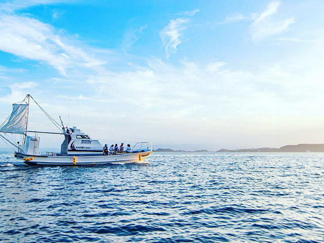 �������ˡۡԸ����ءե���������ץ��