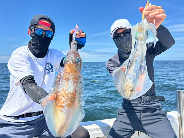 ティップランで狙うアオリイカ釣りプラン