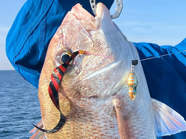 ◇午前◇タイラバ・旬のお魚(タチウオ)釣りプラン