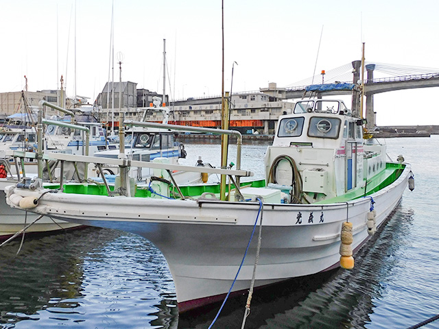 ヤリイカ釣りプラン