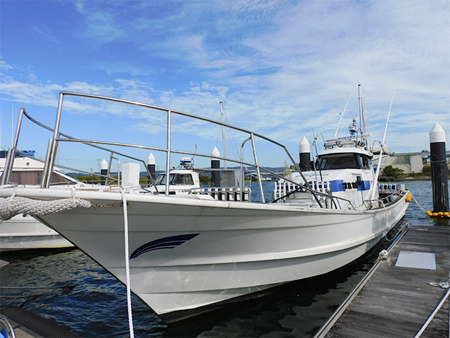 ��ʪ���ץ��