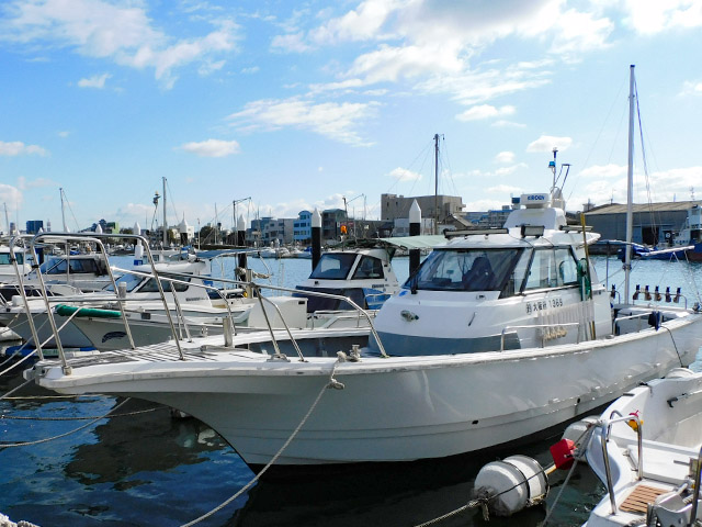 ��ʿ��������鿴�Ԥ������ᡪ������θ��ץ��