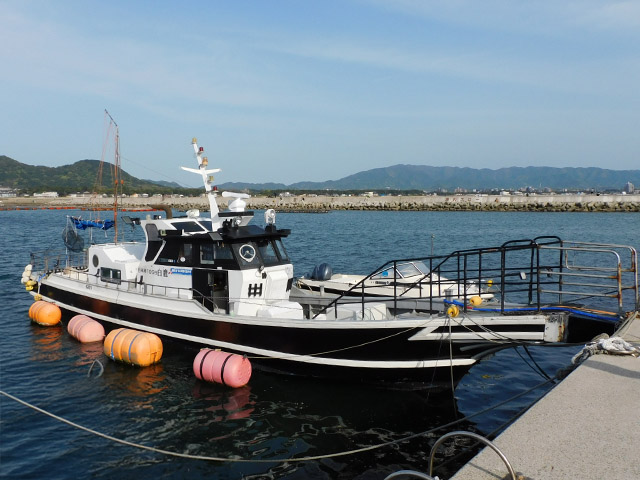 ジギング・プラン(近海)