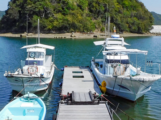 �������ˢ���Х륵�ӥ����ץ��