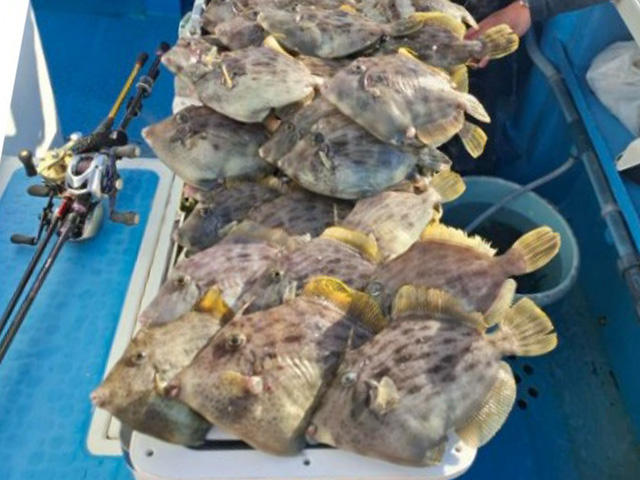 ����ϥ����ץ���������ɹ�դ����ʡ�