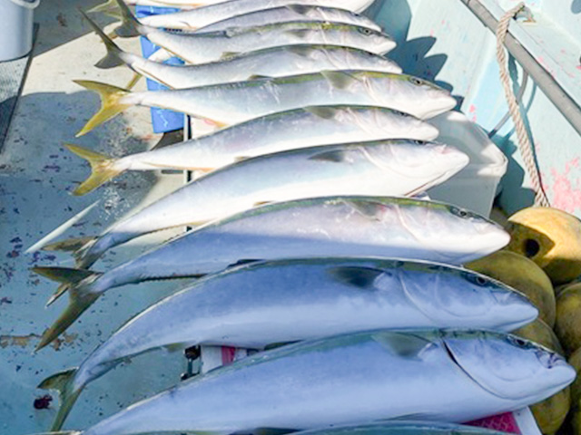 ��饵���ޥ������ץ��