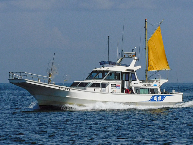 マルイカ釣りプラン