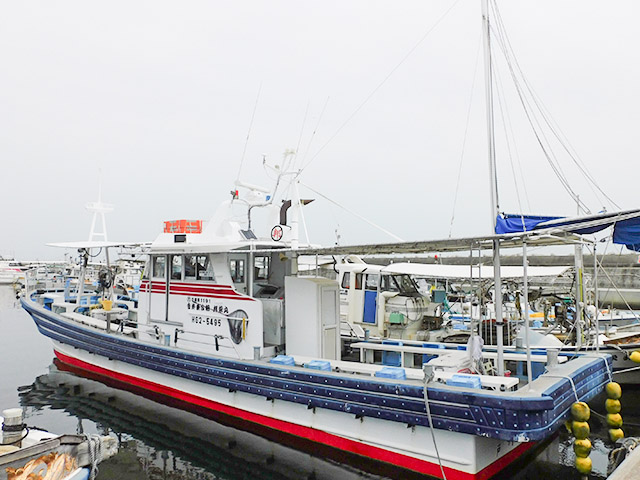 �ޥ������ץ���ʿ����