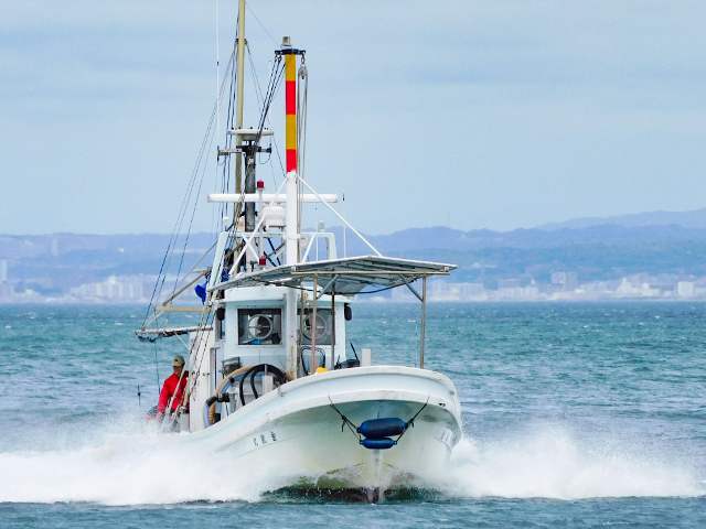 ���������ޥ������Τ����ڥץ���¾����Ȥ�2��Ω�Ƥ�OK����