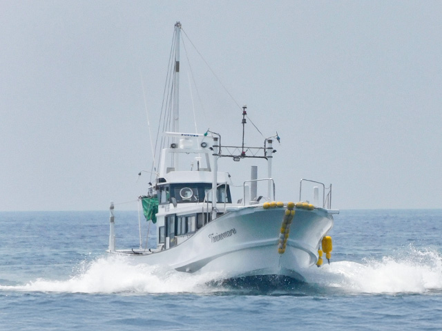 �������緿�������SLJ������������ץ��