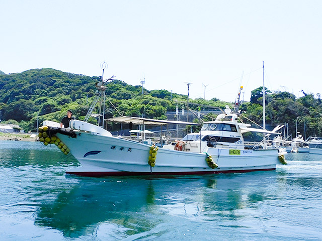 落とし込み釣りプラン