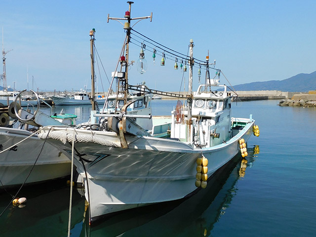 ������������ץ��