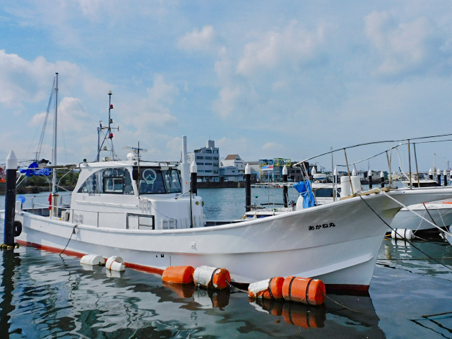 <1日便>シロアマダイ釣りプラン