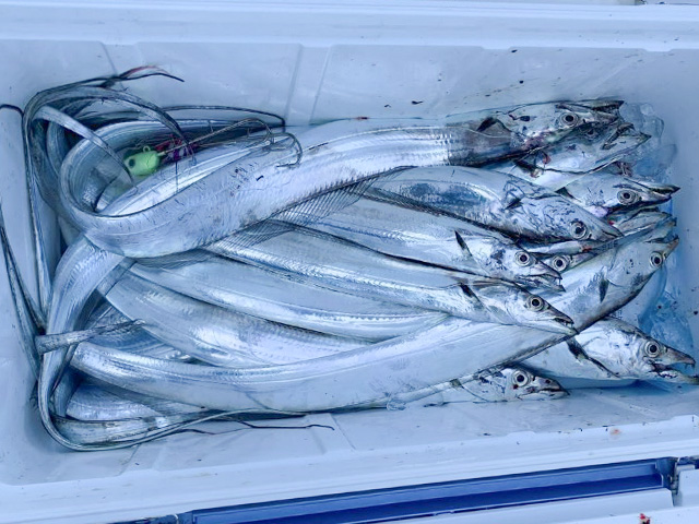 ��ʲ�������ץ�����äƳڤ��������٤ƴ�ư����