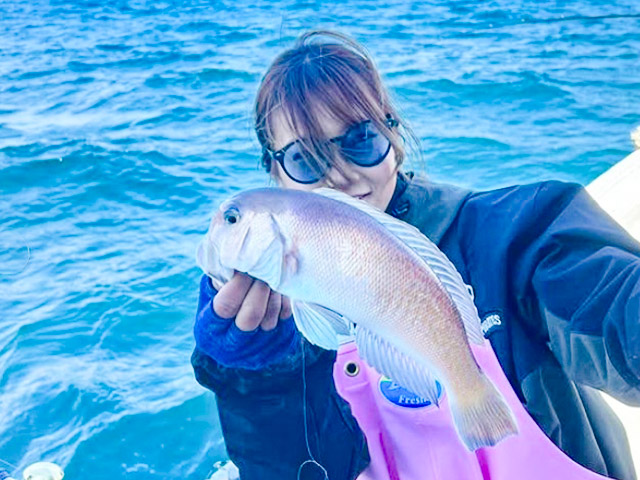 �������ء��������ޥ���&�����������ץ���ŷ��OK����