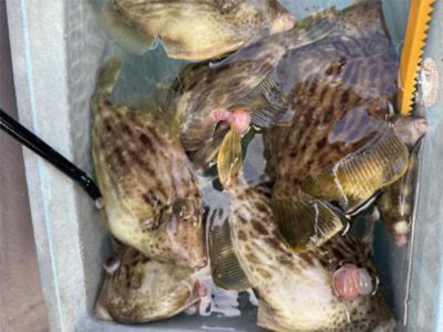 ��ʿ��������ϥ����ץ��