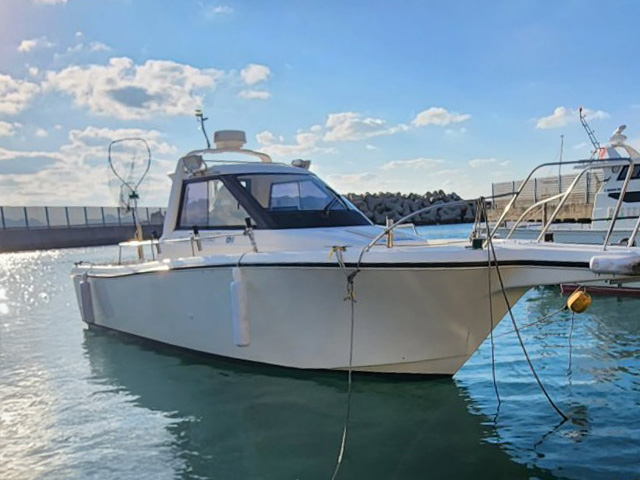 ☆1日☆エギングで狙うアオリイカ釣りプラン