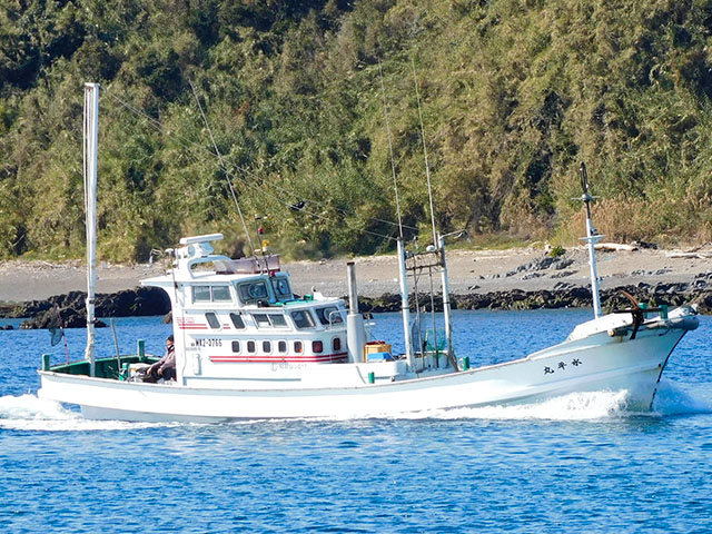 ������¿�̡��������߸������ץ��ʸ�����