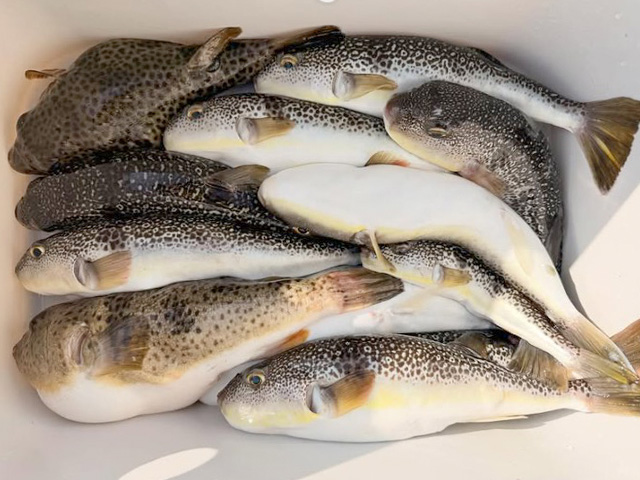 �����֡����祦�����ե����ץ��