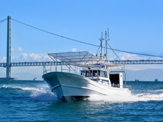 マダコ釣りプラン