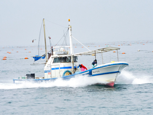 ★マダイを狙う★タイサビキ釣りプラン◇午前◇