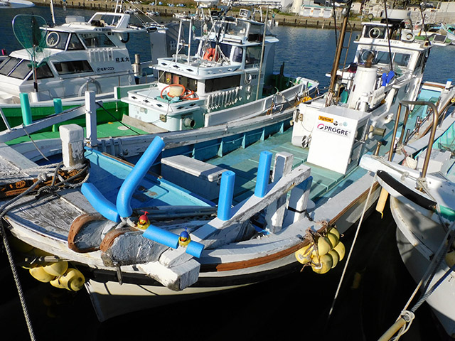 ����ڡ���¿����Υ����������ץ���������ͭ���