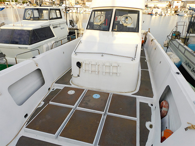 ���͵�����ʲ���������ץ��