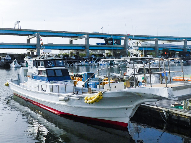 ������С��ץ��