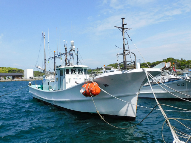 ŷ��������ץ��