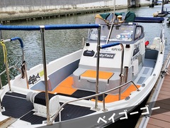 ゴーゴーガイドサービス ゴーゴーガイドサービス