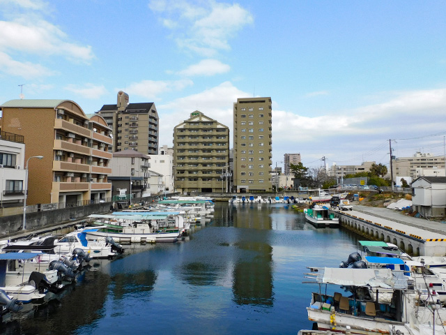 �����������й�