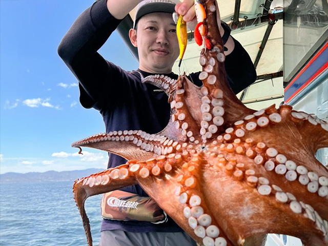 �����Ĵݡۥ���������