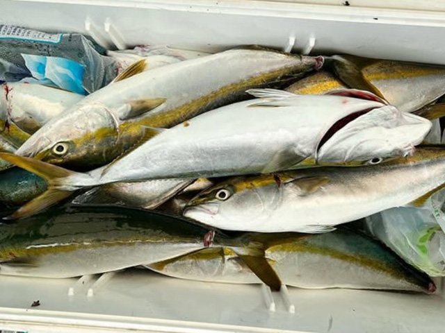 �����Ĵݡۥ��������