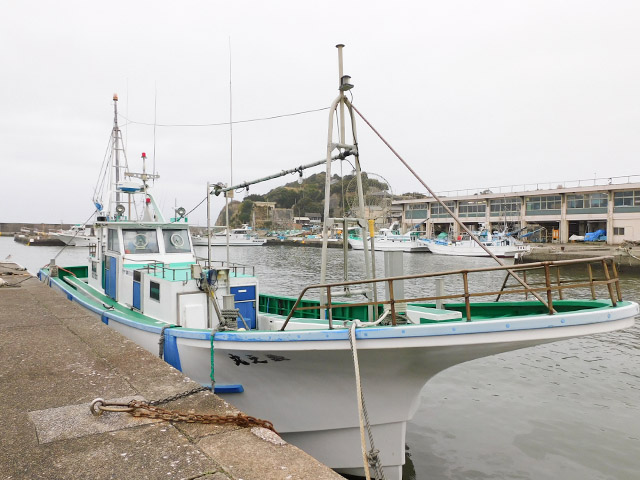 �縶���������