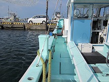 村正丸 静岡県 公式釣り船予約 24時間受付 特別割引 ポイント還元 釣り船予約 ベリー釣船予約