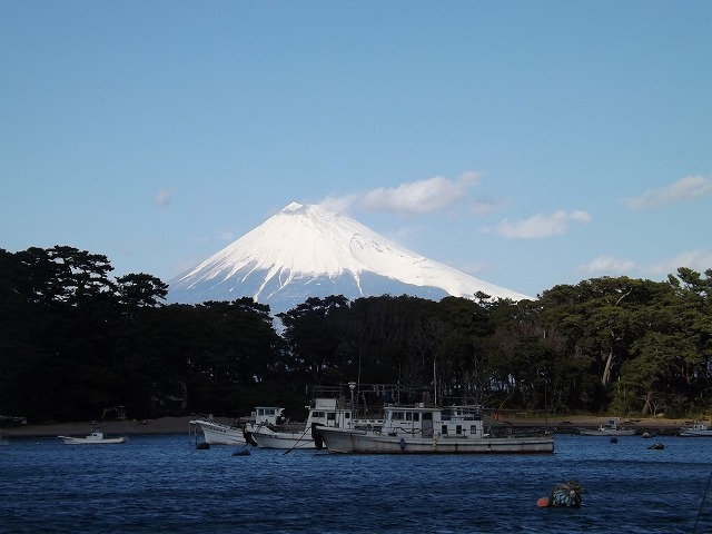 【たか丸】晴天時は富士山を見ながら出船